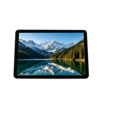 10.1 Inch Industrial TFT LCD