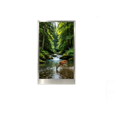 1.77 Inch TFT LCD Display