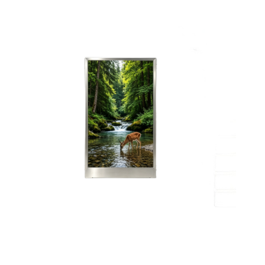 1.77 Inch TFT LCD Display