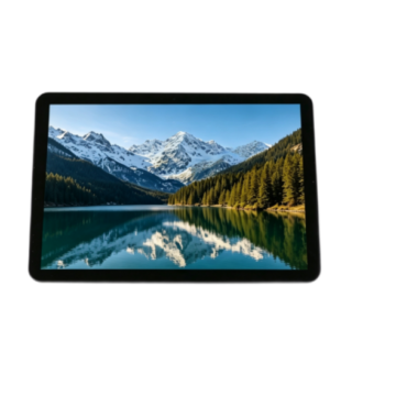10.1 Inch Industrial TFT LCD