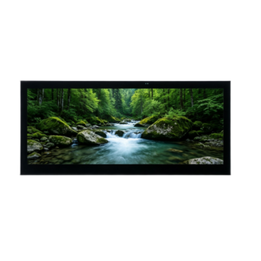 12.3 Inch TFT LCD with CTP
