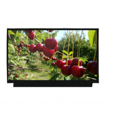 15.6 Inch EPD TFT LCD