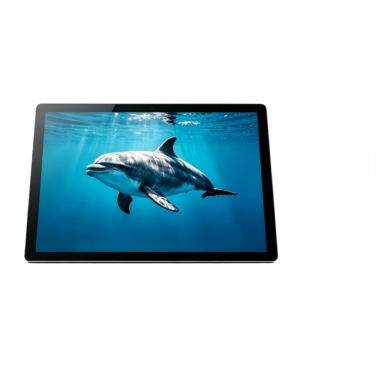 8 Inch IPS TFT LCD