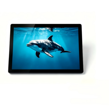 8 Inch IPS TFT LCD