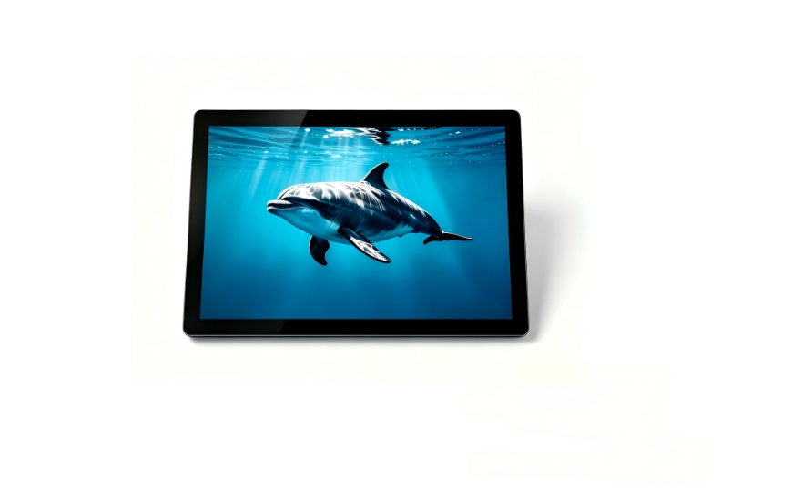 8 Inch IPS TFT LCD
